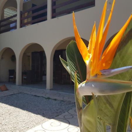 Santo Quintal Hostel อูบาตูบา ภายนอก รูปภาพ